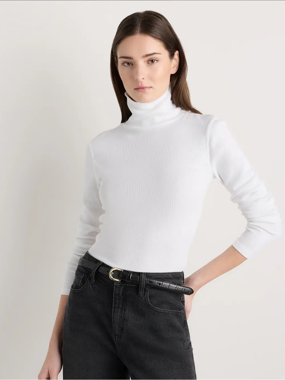 Quince Organic Cotton Micro-Rib Turtleneck